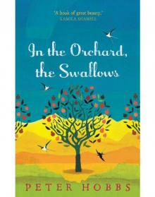 In the Orchard, the Swallows