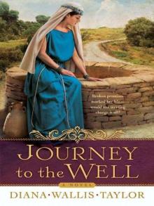 Journey to the Well: A Novel Read online
