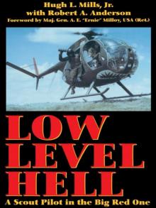Low Level Hell Read online