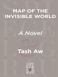 Map of the Invisible World: A Novel Read online
