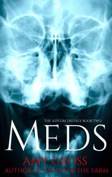 Meds (The Asylum Trilogy Book 2) Read online