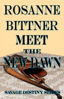Meet the New Dawn Read online