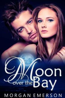 Moon over the Bay (Moonlit Nights) Read online
