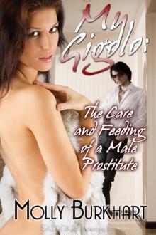 My Gigolo: The Care and Feeding of a Male Prostitute Read online