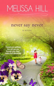 Never Say Never (Lakeview Contemporary Romance Book 3) Read online