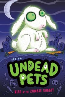 Rise of the Zombie Rabbit Read online