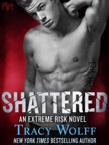 Shattered: An Extreme Risk Novel Read online