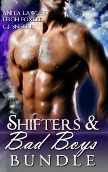Shifters & Bad Boys Bundle (Shifters & Bad Boys. Man love, bdsm, and rockstar romance. Book 1) Read online