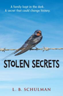 Stolen Secrets Read online