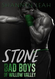 Stone_Bad Boys of Willow Valley Read online