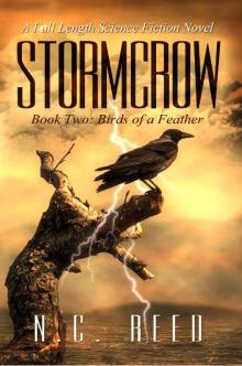 Stormcrow: Book Two: Birds of a Feather Read online