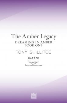The Amber Legacy Read online