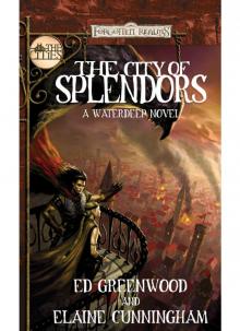 The City of Splendors Read online