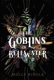 The Goblins of Bellwater Read online