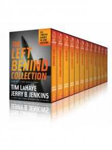 The Left Behind Collection Read online
