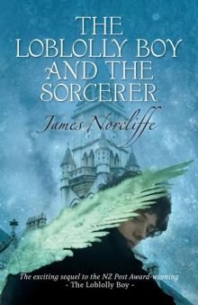 The Loblolly Boy and the Sorcerer Read online