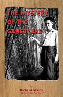 The Mystery of the Canebrake Read online