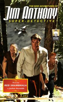The New Adventures of Jim Anthony, Super-Detective Read online