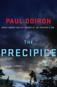 The Precipice: A Novel Read online