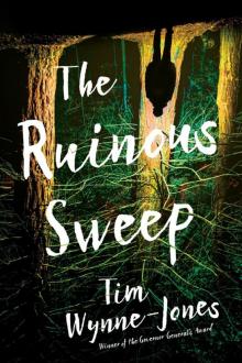 The Ruinous Sweep Read online