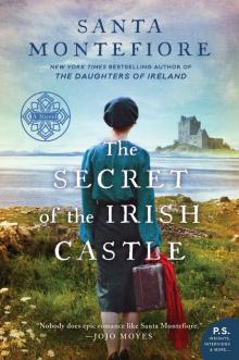 The Secret of the Irish Castle Read online