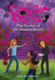 The Secret of the Shadow Bandit Read online