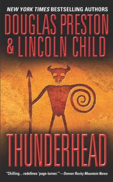 Thunderhead Read online