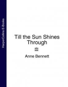 Till the Sun Shines Through Read online