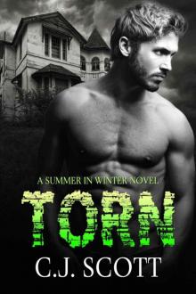 Torn (Summer In Winter) Read online