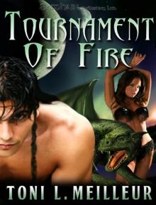 Tournament of Fire Read online