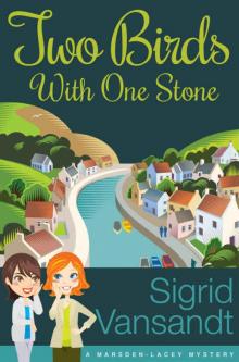 Two Birds with One Stone (A Marsden-Lacey Cozy Mystery Book 1) Read online