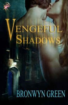 Vengeful Shadows Read online