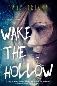 Wake the Hollow Read online