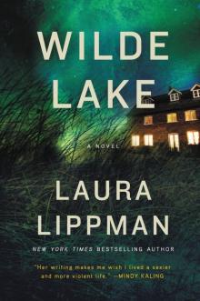 Wilde Lake: A Novel Read online