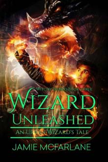 Wizard Unleashed Read online
