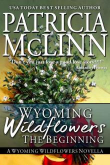 Wyoming Wildflowers: The Beginning Read online